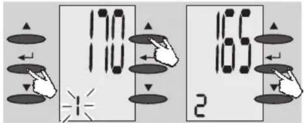 EXACTA FW3 - Entrada de datos - 1