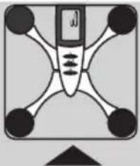 EXACTA FW3 - Analiza tijela - 4