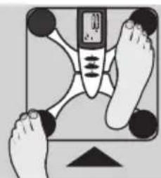 EXACTA FW3 - Análise corporal - 2
