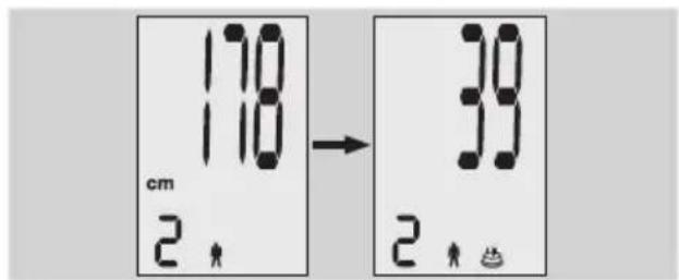 EXACTA FW3 - Kropsanalyse - 2