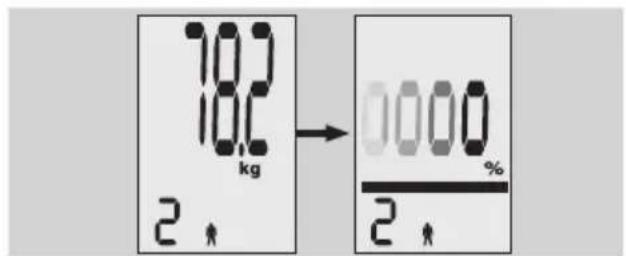 EXACTA FW3 - Lichaamsanalyse - 4