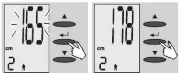 EXACTA FW3 - Preparation - 3