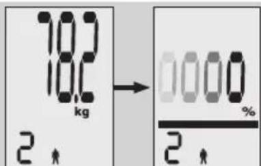 EXACTA FW3 - Analisi del corpo - 3