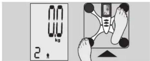 EXACTA FW3 - Kropsanalyse - 3