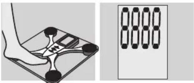 EXACTA FW3 - Testelemzés - 2