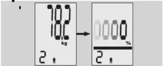 EXACTA FW3 - Analýza tělesných vlastnosti - 7