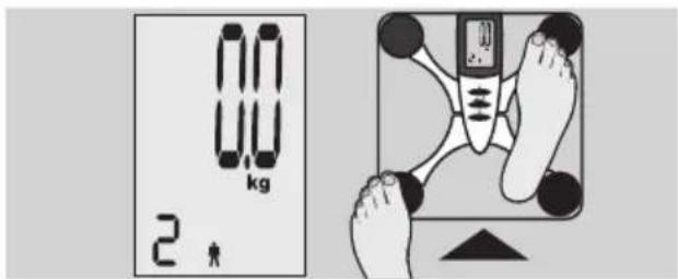 EXACTA FW3 - Analisis corporal - 3