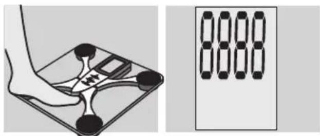 EXACTA FW3 - Zjiisteni hmotnosti - 2