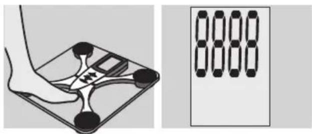 EXACTA FW3 - A súly meghatározásá - 1