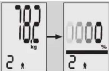 EXACTA FW3 - Análise corporal - 3