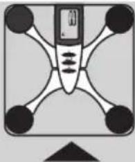 EXACTA FW3 - Analisi del corpo - 2