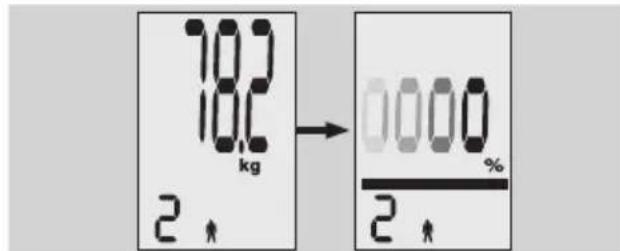 EXACTA FW3 - Kroppsanalys - 4