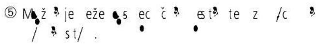 EXACTA FW3 - Priprava - 4