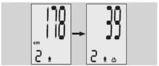 EXACTA FW3 - Lichaamsanalyse - 2