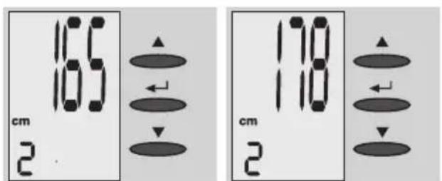 EXACTA FW3 - Veri girisi - 1