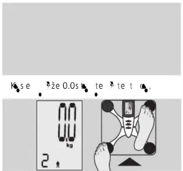 EXACTA FW3 - Telesna analiza - 3