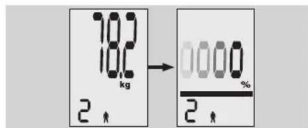 EXACTA FW3 - Kropsanalyse - 4