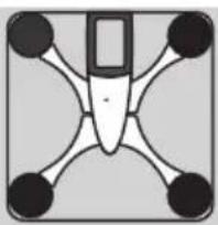 EXACTA FW3 - Analiza ciała - 3