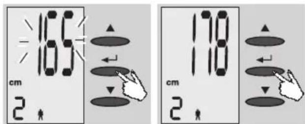EXACTA FW3 - Immissione dei dati - 2