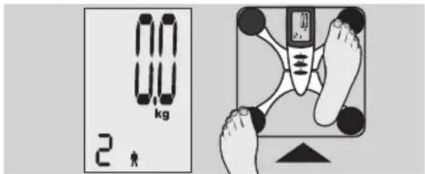 EXACTA FW3 - Testelemzés - 5