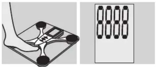 EXACTA FW3 - Analisis corporal - 1