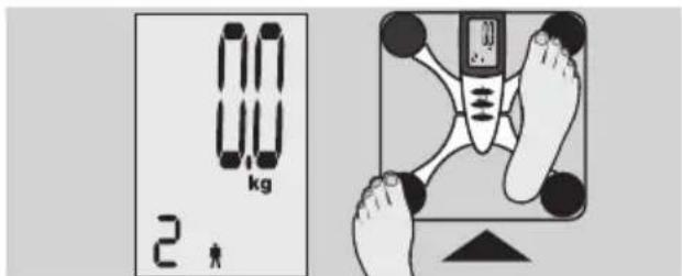 EXACTA FW3 - Kroppsanalys - 3