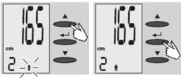 EXACTA FW3 - Vpis podatkov - 2