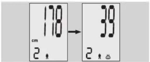 EXACTA FW3 - Analyse corporelle - 2