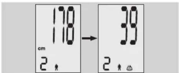 EXACTA FW3 - Kroppsanalys - 2