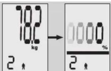 EXACTA FW3 - Kehonanalyysi - 2
