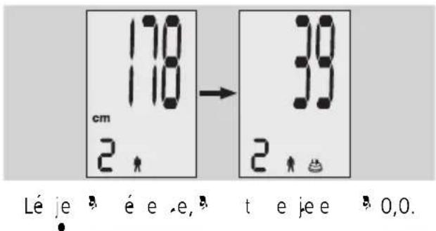EXACTA FW3 - Testelemzés - 4