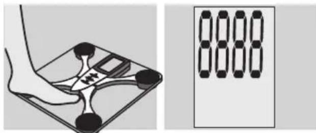 EXACTA FW3 - Determination du poids - 1