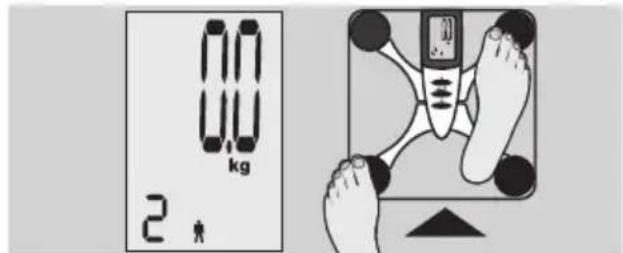 EXACTA FW3 - Analyse corporelle - 3