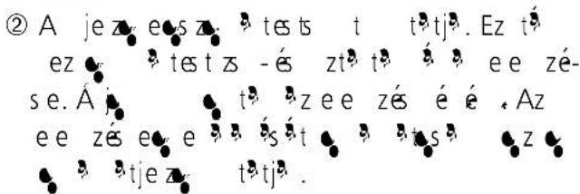 EXACTA FW3 - Testelemzés - 6