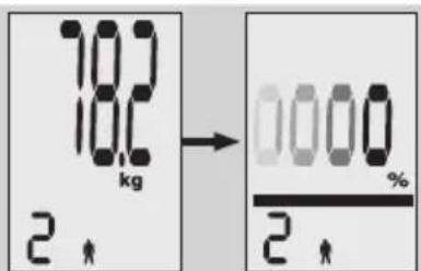EXACTA FW3 - Analiza tijela - 6