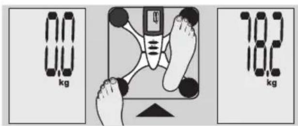 EXACTA FW3 - Determinación del peso - 2