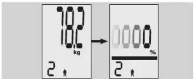 EXACTA FW3 - Telesna analiza - 5