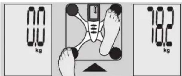 EXACTA FW3 - A súly meghatározásá - 2