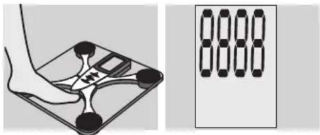 EXACTA FW3 - Analyse corporelle - 1
