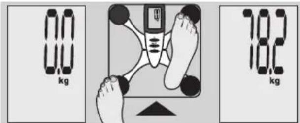 EXACTA FW3 - Determination du poids - 2