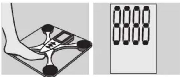 EXACTA FW3 - Gewichtsermittlung - 1