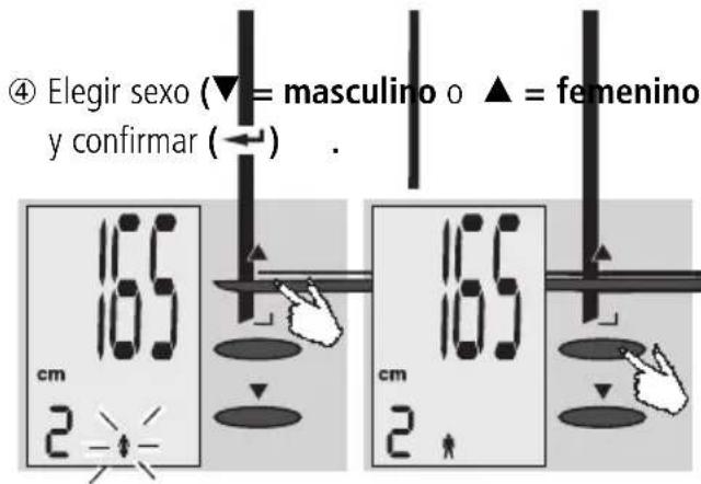 EXACTA FW3 - Entrada de datos - 2