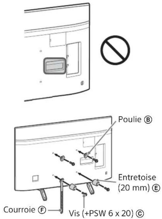Poulie ® Entretoise (20 mm) ® Courroie ® Vis (+PSW 6 x 20) ©