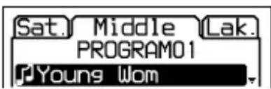 SONY DNE321 - Reproduzir faixas pela ordem preferida (reprodução PGM) - 1