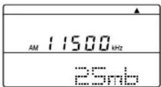 SONY ICFSW07 - Manual tuning - 2