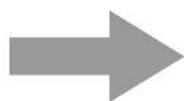 SONY DNE301SR - Guardare gravar - 2