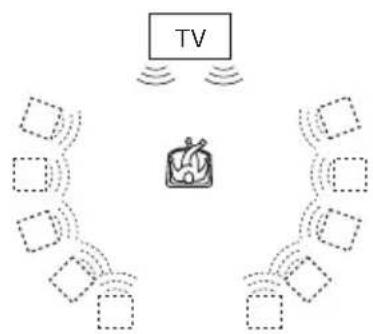 SONY DVPNS360 - TVS BREED - 1