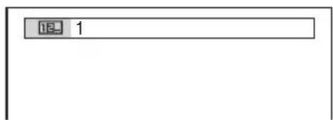 SONY DVPNS360 - Wahlen Sie mit /  /  / oder den Zahlentasten die einzustellende Option bzw. wiederzugebende Einheit aus. - 1