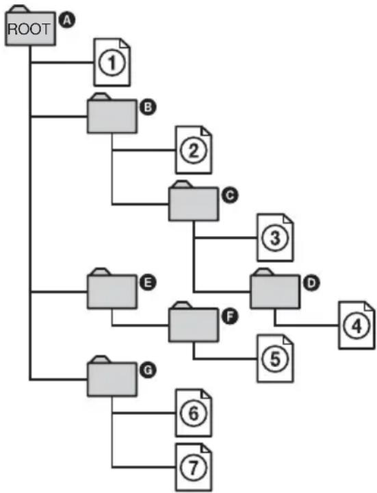 SONY DVPNS590P - ◆Baumdiagramm des Inhalts einer CD - 1