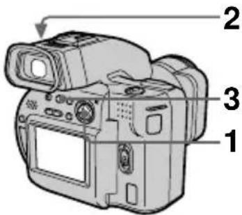 SONY MVCCD1000 - Enregistrement d'images en mode macro - 1
